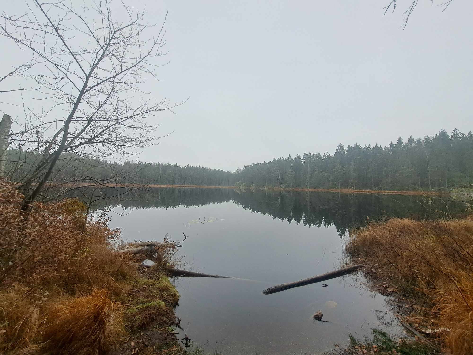 905b95ee-05ce-41af-8482-28f5daea1c72