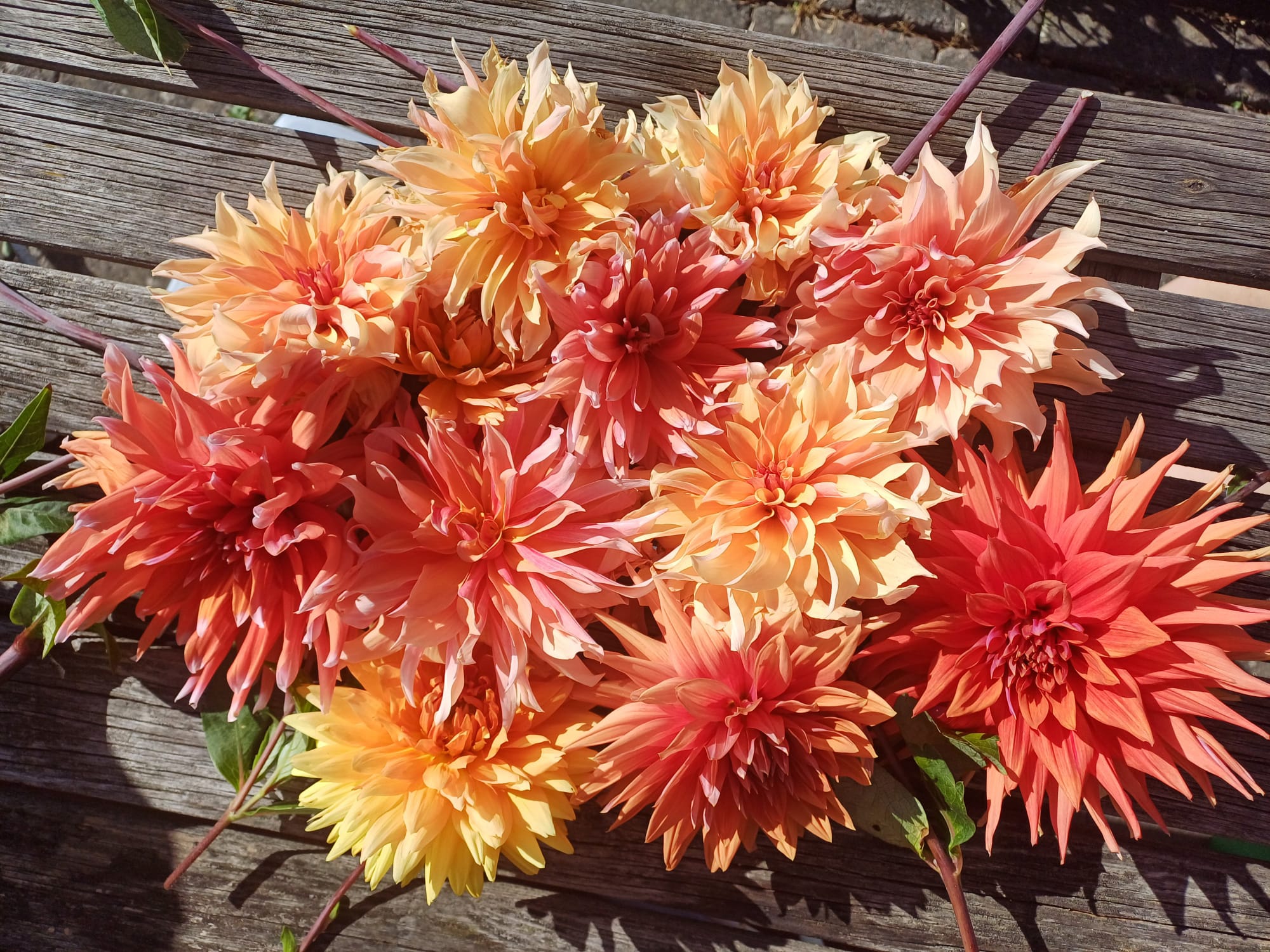 PHOTO-2025-01-13-16-15-19