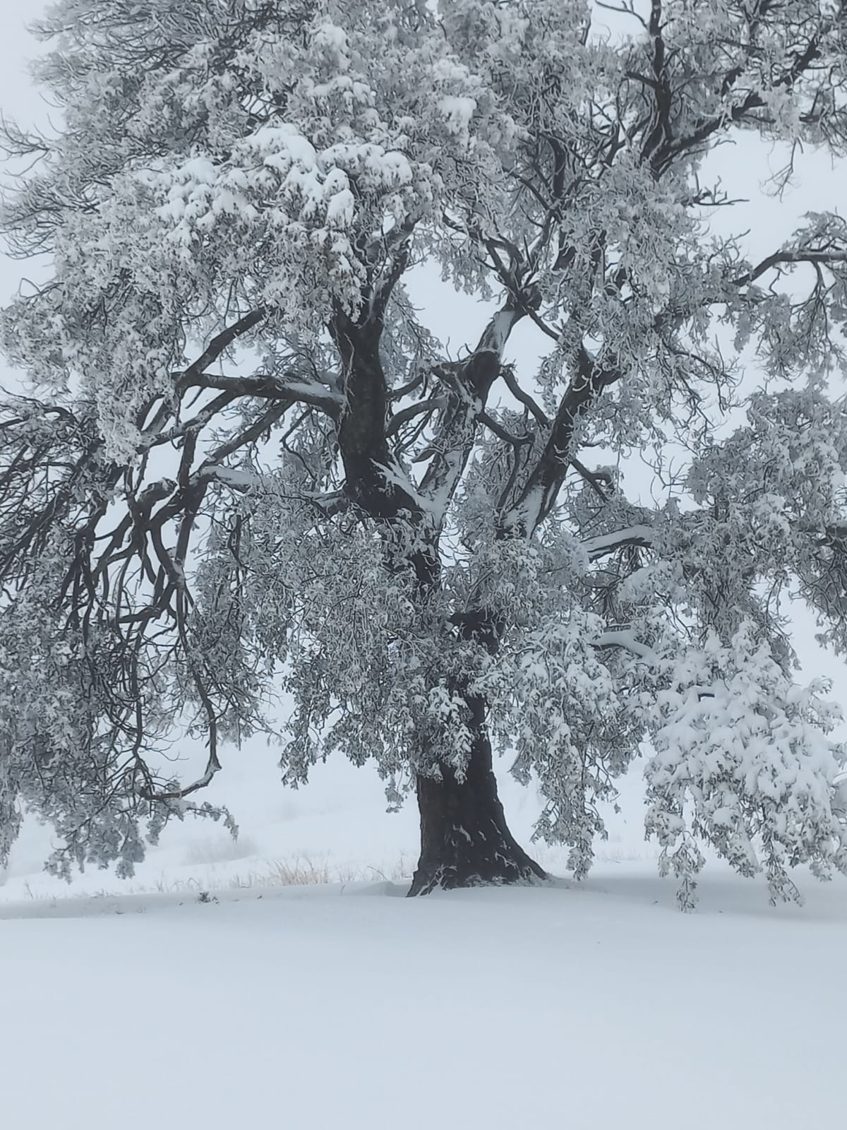 a7ddae70-8603-4a2c-91d3-26c90353bb2a