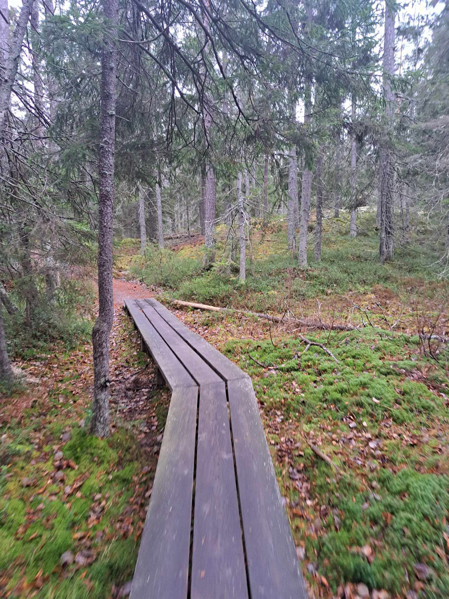 f1eefea9-03e4-4f5d-a101-d25db6b0c230